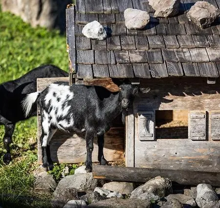 شقة Haus Franz Und Haus Antje Schönau am Königssee